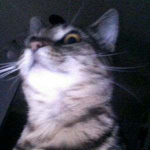 Meet your Posher, Jade